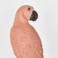 Amabela Parrot Medium Pink