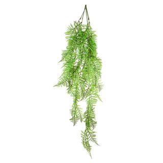 Boston Fern Hanging 1.1m