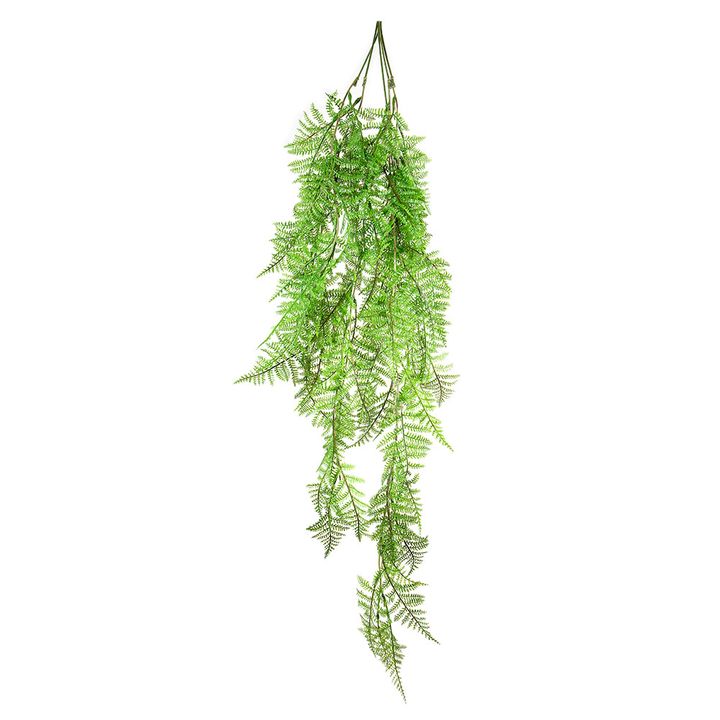 Boston Fern Hanging 1.1m