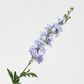 Bella Single Head Delphinium Lavender