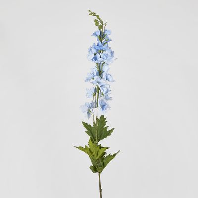 Bella Single Head Delphinium Light Blue