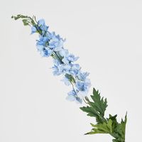 Bella Single Head Delphinium Light Blue