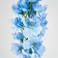 Bella Single Head Delphinium Light Blue