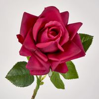 Winston Rose Real Touch Fuschia
45cm