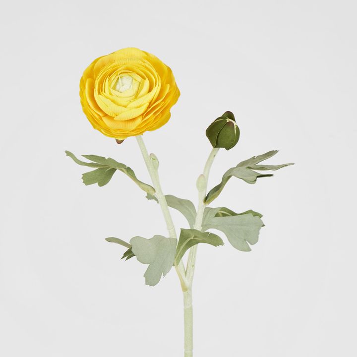 Clara Yellow Ranunculus Spray49cm