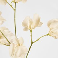 Jane Sweet Pea 60cm Off White