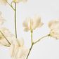 Jane Sweet Pea 60cm Off White