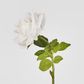 Walter Real Touch Rose Stem Ivory
61cm