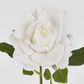 Walter Real Touch Rose Stem Ivory
61cm