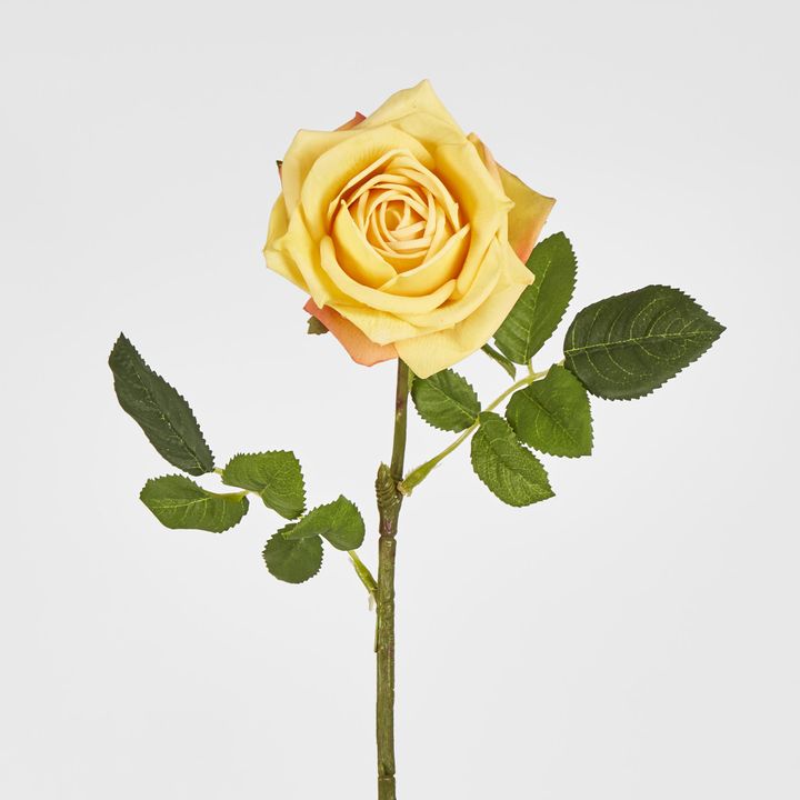 Walter Real Touch Rose Stem Yellow
61cm