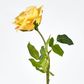 Walter Real Touch Rose Stem Yellow
61cm