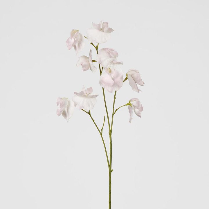 Jane Sweet Pea 60cm Pink