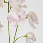 Jane Sweet Pea 60cm Pink