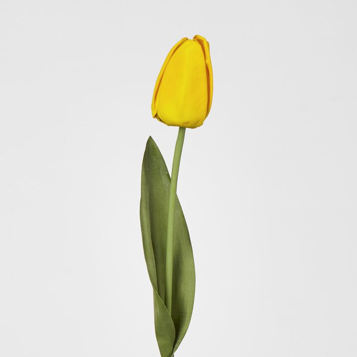 Liv Tulip 45cm Yellow