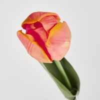 Liv Soft Touch Tulip Orange
45cm