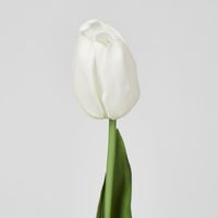 Liv Soft Touch Tulip White
45cm