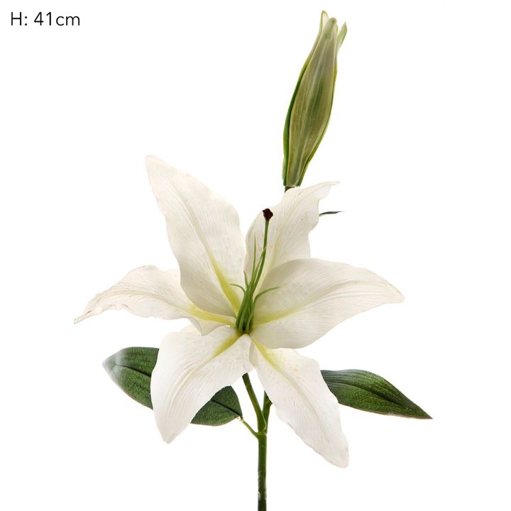 Casablanca Lily Short Stem 48cm White