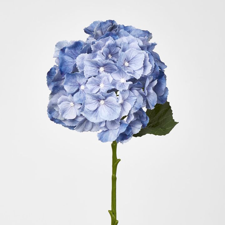 Susan Hydrangea Soft Touch Blue
52cm