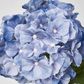 Susan Hydrangea Soft Touch Blue
52cm