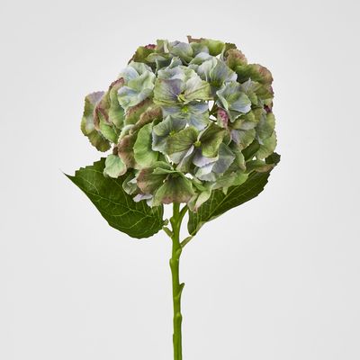 Susan Hydrangea Soft Touch Antique Green
52cm