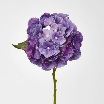 Susan Hydrangea Soft Touch Violet
52cm