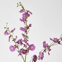 Lilly Dancing Orchid 98cm Pink