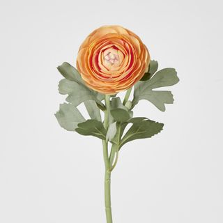 Clara Orange Ranunculus Spray
49cm