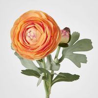 Clara Orange Ranunculus Spray
49cm