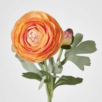 Clara Orange Ranunculus Spray
49cm