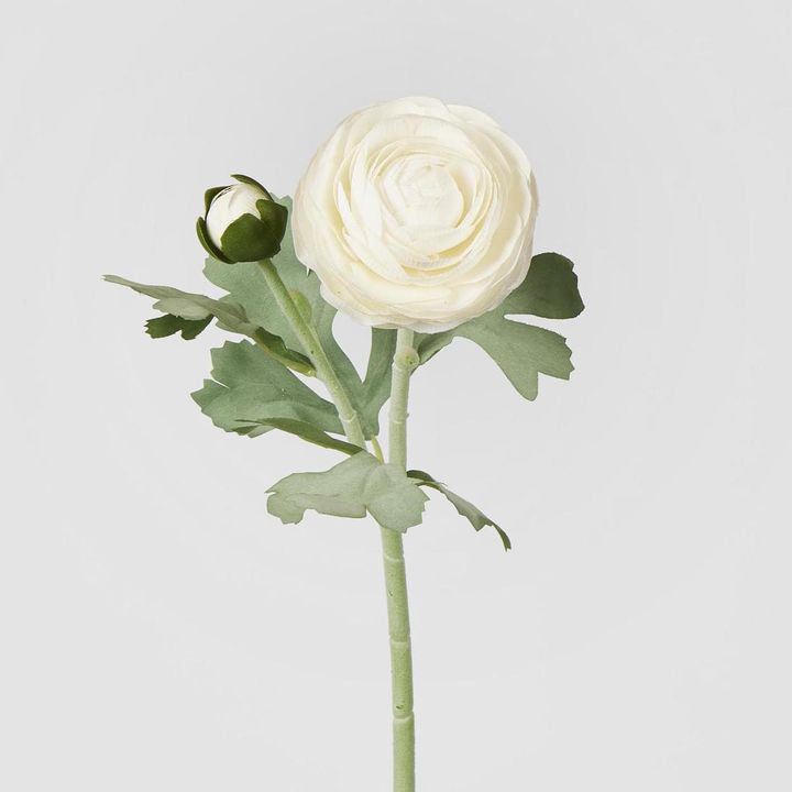 Clara Pure White Ranunculus Spray 49cm