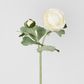 Clara Pure White Ranunculus Spray49cm