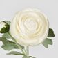 Clara Pure White Ranunculus Spray49cm