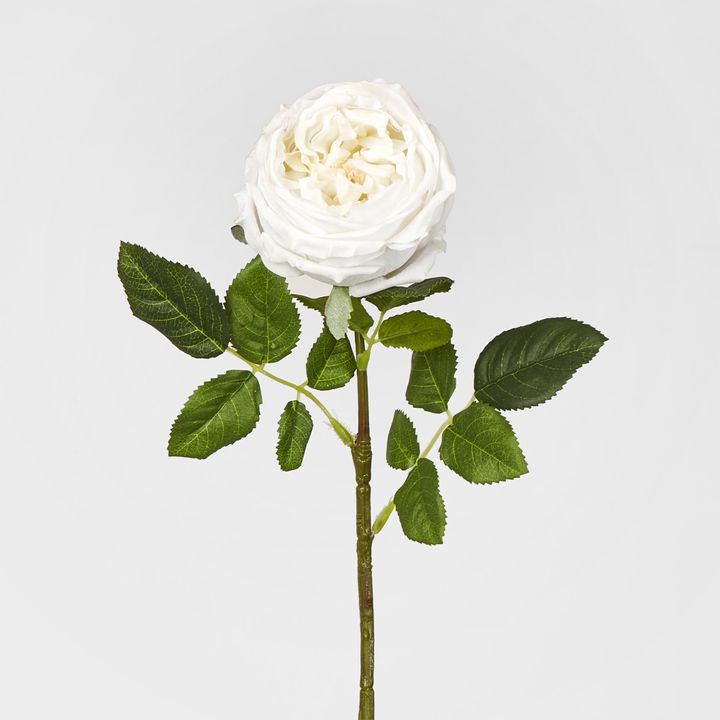 Dianna Real Touch Rose Stem White 60cm