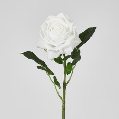 Walter Real Touch Rose Stem Winter White
61cm