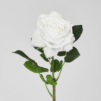 Walter Real Touch Rose Stem Winter White
61cm