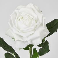 Walter Real Touch Rose Stem Winter White
61cm