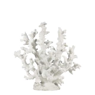 Reef Coral 3