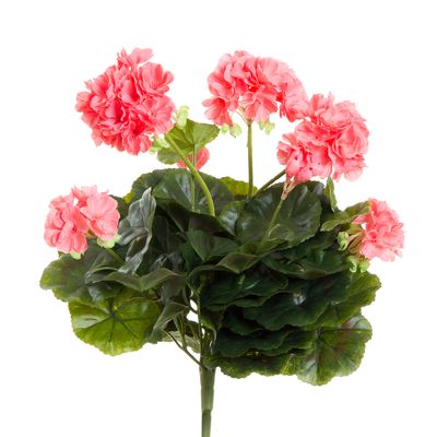 38CM GERANIUM BUSH W/52 LVES NO POT