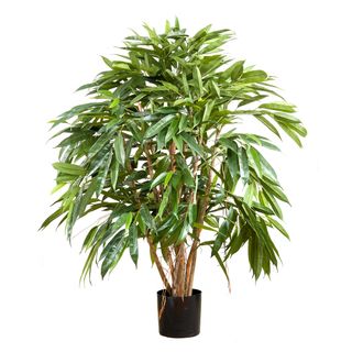 Royal Longfolia 90cm