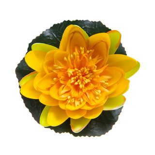 Floating Waterlily 11cm Yellow