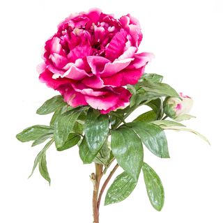 King Peony 90cm Dark Pink