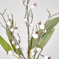 Leaf Spray Branch with Snow Berry