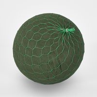 Oasis Floral Foam Netted Sphere  22cm