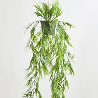 Green Bamboo in Hanging Pot