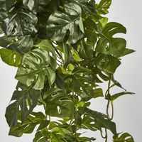 Real Touch Monstera Split Philo Hanging Bush x 13