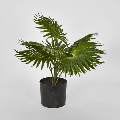 45cm Real Touch Green Fountain Palm in Pot