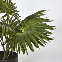 45cm Real Touch Green Fountain Palm in Pot