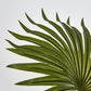 45cm Real Touch Green Fountain Palm in Pot