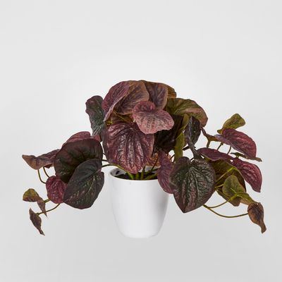 28cm Burgundy Real Touch Hanging Peperomia Leaf Bush in White Pot