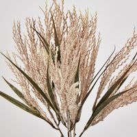 Light Brown Grass Bush